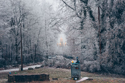 Snow covered trees in forest during winter