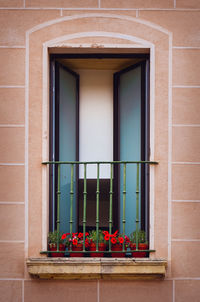 Potted plants on window sill of building