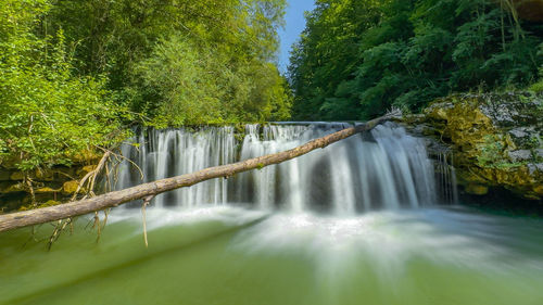 Scenic view of waterfall in forest