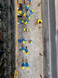 Directly above shot of people on sidewalk