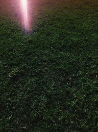 Scenic view of grassy field against bright sun