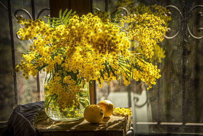 Mimosa and lemons