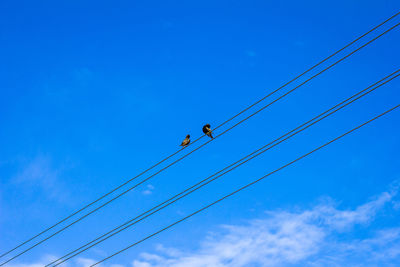 Low angle view of power lines against blue sky