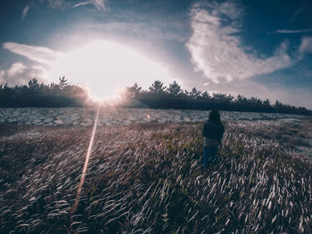 Scenic view of field against sky during sunset