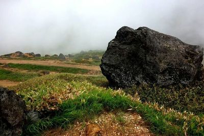 Scenic view of grassy field against cloudy sky