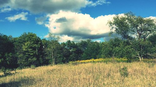 Scenic view of field against cloudy sky