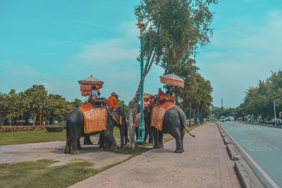 View of people riding horse on road against sky