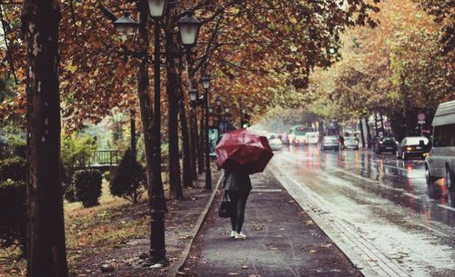 Rear view of person walking on wet footpath during rainy season