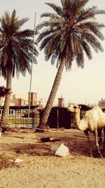 Building with trees in background