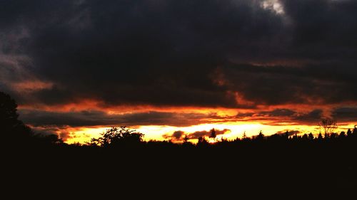 Silhouette of trees against cloudy sky