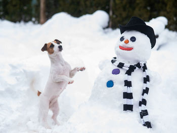 Dog standing by snowman on snow