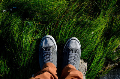 Low section of man standing on grass