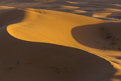 High angle view of sand dune in desert