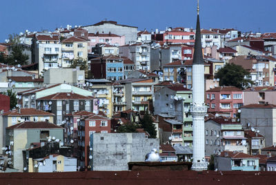Seagull, roof, minaret, and buildings istanbul city