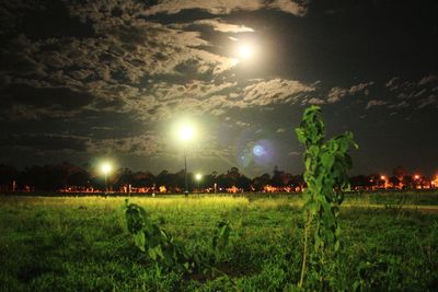 Scenic view of field against sky at night