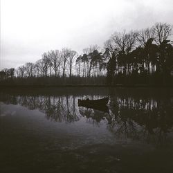 Reflection of trees in calm lake