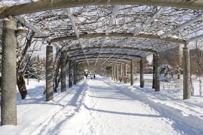 Snow covered walkway in winter