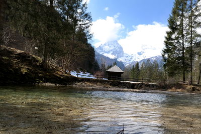 Scenic view of river in forest against sky