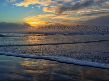 Scenic view of sea at sunset