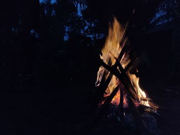 Bonfire on log at night