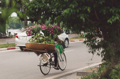 Man carrying water lily and seed pods on bicycle at street