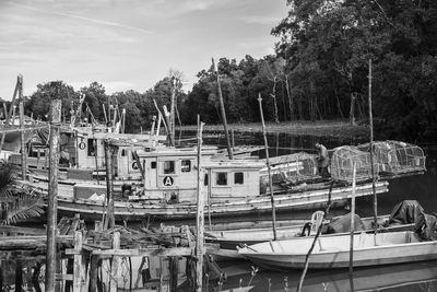 Boats moored by trees against sky