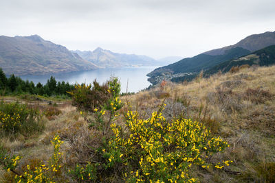 Scenic view of sea and mountains against sky