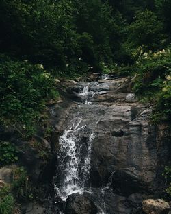 Scenic view of waterfall in forest against sky