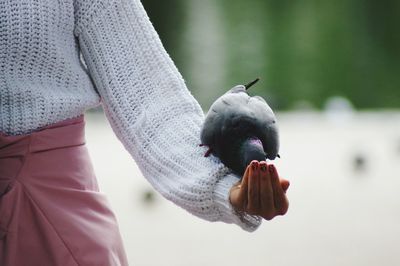 Close-up of hand holding bird