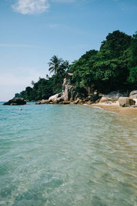 Scenic view of sea against sky