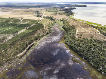 Flooded farm by river doce after mariana  disaster