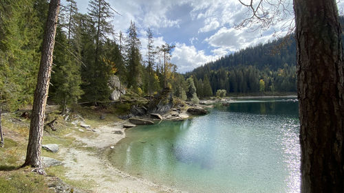 Scenic view of lake and pine trees against sky