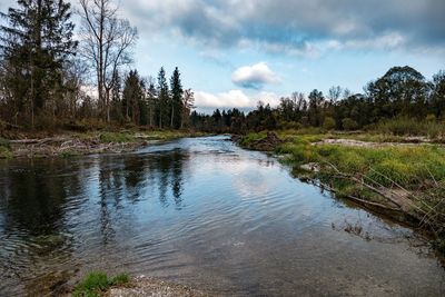 Scenic view of lake in forest against sky