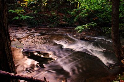 Close-up of waterfall in forest