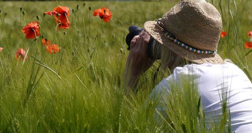 Flowers growing on grassy field