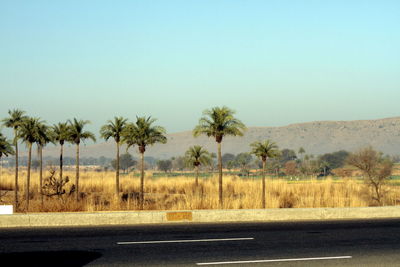 Scenic view of landscape against clear sky