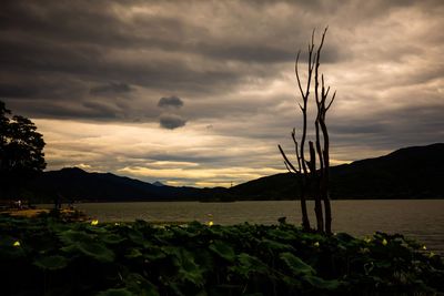 Scenic view of land against sky during sunset