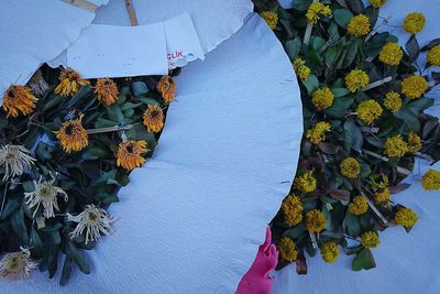 High angle view of dead flowers