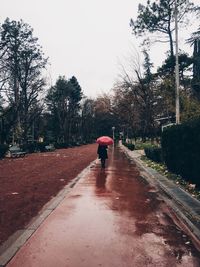 Rear view of man walking on footpath against sky