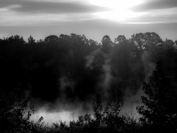 Scenic view of trees against cloudy sky