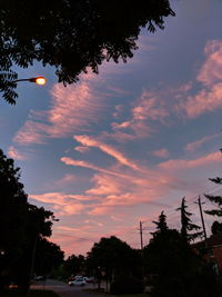 Low angle view of silhouette trees against sky during sunset