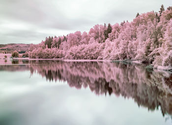 Reflection of trees in lake against sky