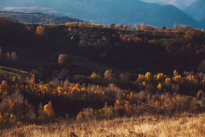 Scenic view of field against mountains