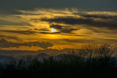 Scenic view of sunset