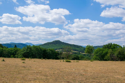 Trees on field against sky