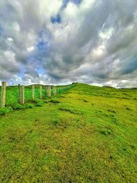 Scenic view of field against sky