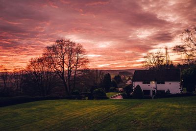 Trees and houses on field against sky during sunset