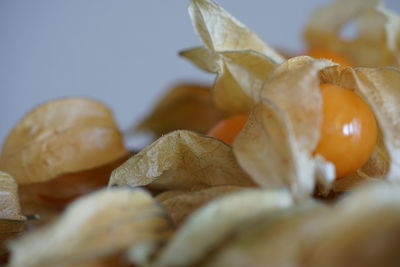 Close-up of orange fruit on table