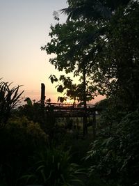 Silhouette trees by plants against sky during sunset