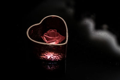 Close-up of rose against black background